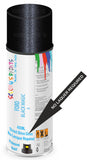 Ford black magic Direct Gloss No Lacquer Required Spray Paint