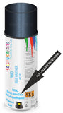 Ford blue panther Direct Gloss No Lacquer Required Spray Paint