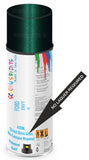 Ford envy Direct Gloss No Lacquer Required Spray Paint