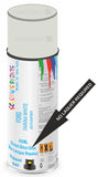 Ford farina white Direct Gloss No Lacquer Required Spray Paint