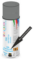 Ford grey matter Direct Gloss No Lacquer Required Spray Paint