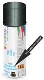 Ford guard Direct Gloss No Lacquer Required Spray Paint