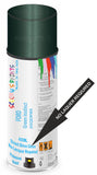 Ford green instinct Direct Gloss No Lacquer Required Spray Paint