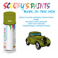 High-Quality JAVA GREEN Aerosol Spray Paint E For Classic FORD Escort Van Paint fot restoration, high quaqlity aerosol sprays.