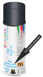 Ford midnight sky Direct Gloss No Lacquer Required Spray Paint