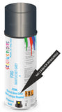 Ford nantucket grey Direct Gloss No Lacquer Required Spray Paint