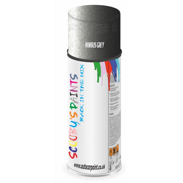 Mixed Paint For Ford Cabrio Nimbus Grey Aerosol Spray 1Y