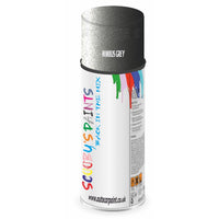 Mixed Paint For Ford Granada Nimbus Grey Aerosol Spray 1Y