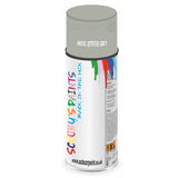 Mixed Paint For Ford Sierra Pastel (Oyster) Grey Aerosol Spray 2E