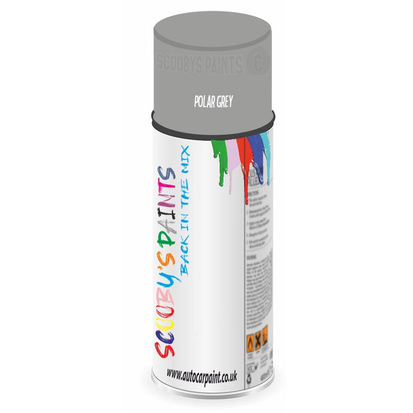 Mixed Paint For Ford Taunus Polar Grey Aerosol Spray 1R