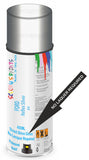Ford reflex silver Direct Gloss No Lacquer Required Spray Paint
