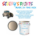 Ford Escort SANDSTONE Tin Can Automotive Paint - Suitable for Spraying or Brushing - Premium Finish for Your Vehicle