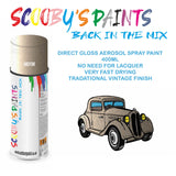 High-Quality SANDSTONE Aerosol Spray Paint 5H For Classic FORD Escort Paint fot restoration, high quaqlity aerosol sprays.