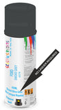 Ford smoke grey Direct Gloss No Lacquer Required Spray Paint