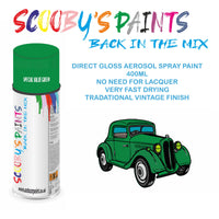 High-Quality SPECIAL VALUE GREEN Aerosol Spray Paint 917 For Classic FORD Escort Paint fot restoration, high quaqlity aerosol sprays.