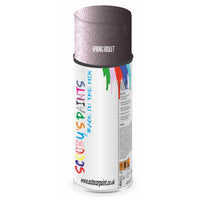 Mixed Paint For Ford Escort Spring Violet Aerosol Spray 2568Cm