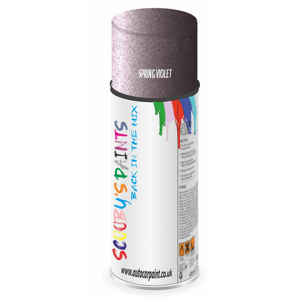 Mixed Paint For Ford Cabrio Spring Violet Aerosol Spray 2568Cm