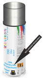 Ford silber Direct Gloss No Lacquer Required Spray Paint