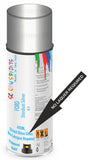 Ford stardust silver Direct Gloss No Lacquer Required Spray Paint
