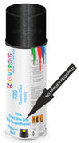 Ford tuxedo black Direct Gloss No Lacquer Required Spray Paint