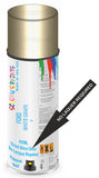 Ford white grape Direct Gloss No Lacquer Required Spray Paint