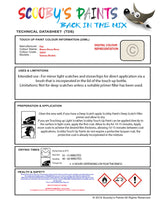 Instructions for use Fiat Bianco Bossa Nova Car Paint