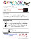 Instructions for use Fiat Black Nero Etna Car Paint