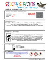 Instructions for use Ford Grey Matter Car Paint