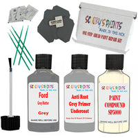 Ford Grey Matter Car Detailing Paint and polish finishing kit