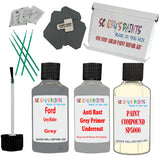 Ford Grey Matter Car Detailing Paint and polish finishing kit