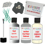 Ford Hypnotic Silver Car Detailing Paint and polish finishing kit