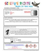 Instructions for use Ford Machine Silver Car Paint