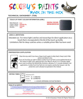 Instructions for use Ford Midnight Sky Car Paint