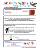 Instructions for use Ford Molten Orange Car Paint