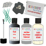 Ford Sea Grey Car Detailing Paint and polish finishing kit