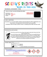 Instructions for use Ford Shadow Black Car Paint