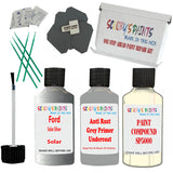 Ford Solar Silver Car Detailing Paint and polish finishing kit