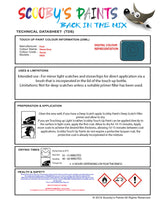 Instructions for use Ford Storm Grey Car Paint