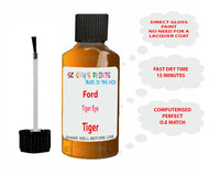 Ford Tiger Eye Paint Code Tiger