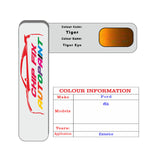 Paint Code Loacation Ford Tiger Eye