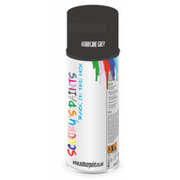 Mixed Paint For Rover Metro Hurricane Grey Aerosol Spray A2