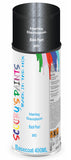 Aerosol for Harley Davidson 883 Custom
