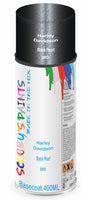 Aerosol for Harley Davidson Night Train