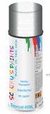 Aerosol for Harley Davidson Blackline