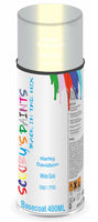 Aerosol for Harley Davidson Softail Deluxe