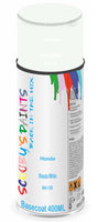 Aerosol for Honda Motorcycles Monkey