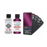 Audi LZ4W BEERE Touch Up Paint + Primer