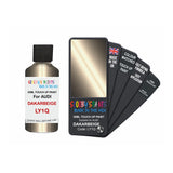 Audi LY1Q DAKARBEIGE Touch Up Paint