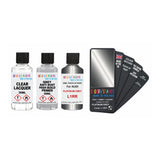 Audi L1RR PLATINUM GREY Touch Up Paint + Primer + Lacquer