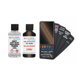 Audi LY8U BELUGA BROWN Touch Up Paint + Primer
